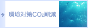 ���΍�CO2�팸