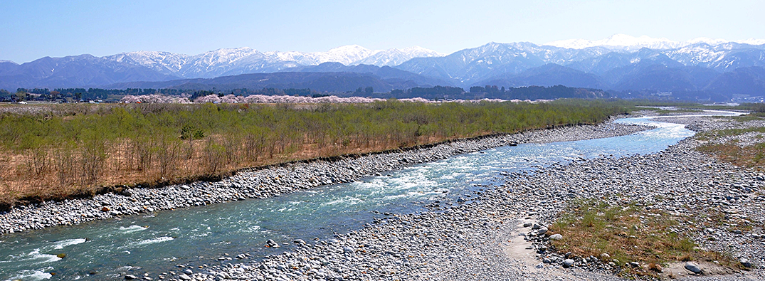 �k�A���v�X�̓V�R���d���ā@�ӂ��育�͂�