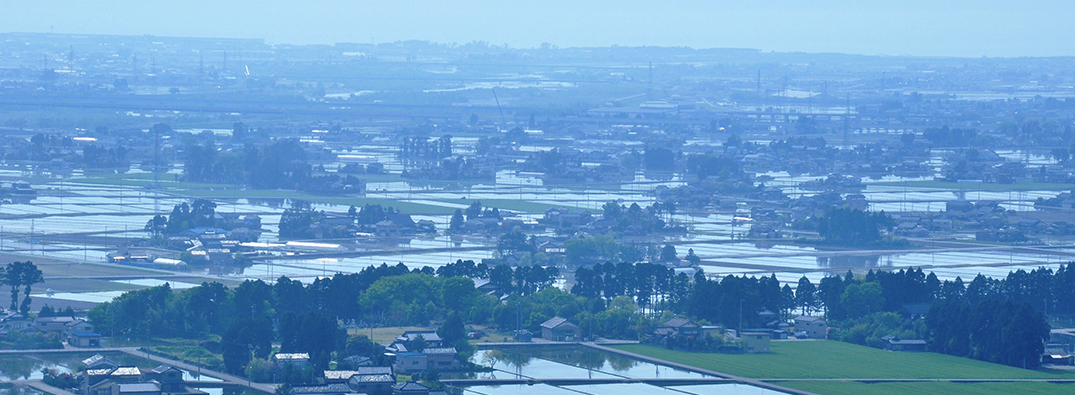 �k�A���v�X�̓V�R���d���ā@�ӂ��育�͂�